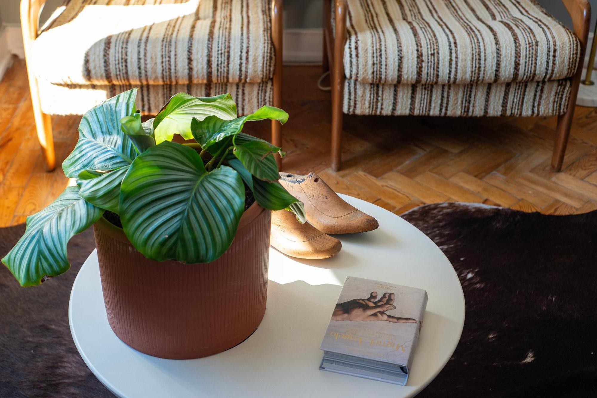 Graca - Castle | Lisbon Cheese & Wine Apartments المظهر الخارجي الصورة
